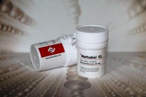 Training stimulates action of methandrostenolone