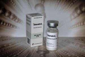 Effects of intraarticular treatment with stanozolol on synovial membrane and cartilage in an ovine model of osteoarthritis.